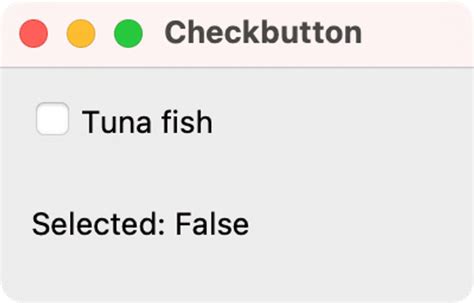 Tkinter Widgets Python Check Button 的图像结果