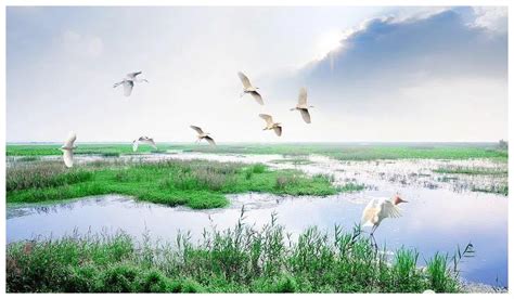 巩义将迎来一大型湿地公园，规划总面积8357亩！选址就在……__财经头条