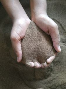 Green Future 11_Natural Potting Soil||Goat Pen Soil||Bakri ke bade ki ...