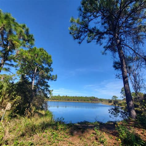 Halpatiokee Regional Park - Casago Treasure Coast