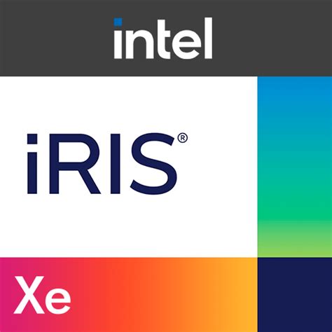 Intel Xe GPU 的图像结果