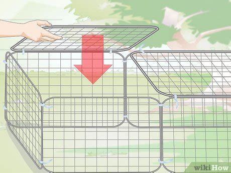 Image result for Homemade Rabbit Run