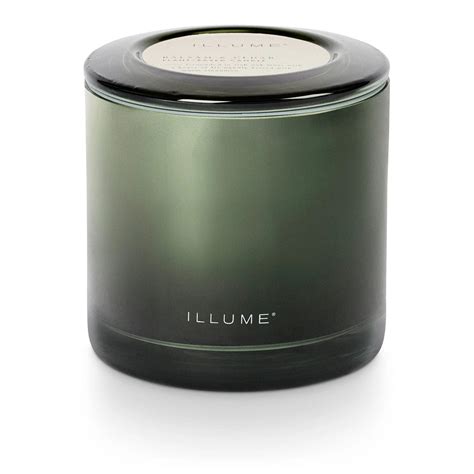 Balsam & Cedar Statement Candle by Illume | Fairy Tales Inc. | The ...