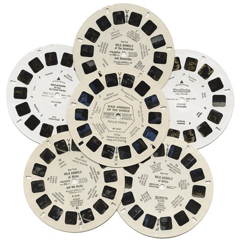 Image result for Language Master Animals