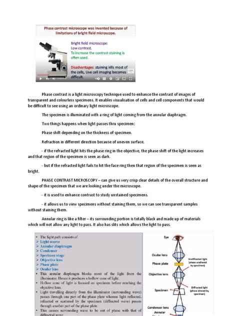 Image result for Phase Contrast Microscopy Applications