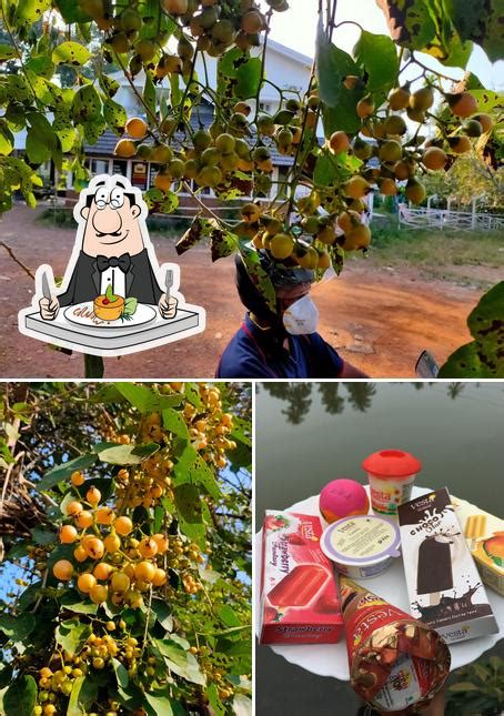 Taste of Kerala, Mala - Restaurant reviews