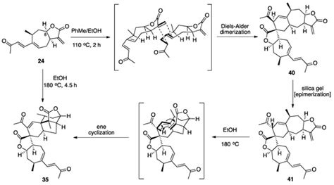 Plants | Special Issue : Exploring the Universe of Natural Products ...