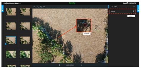 Visual-Based Person Detection for Search-and-Rescue with UAS: Humans vs ...