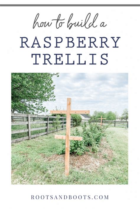 Image result for How to Build Raspberry Trellis