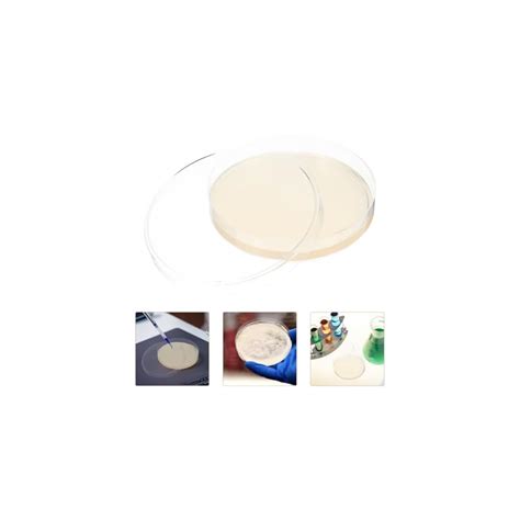 ULTECHNOVO 10-Pack Agar Plates - Vacuum Sealed India | Ubuy