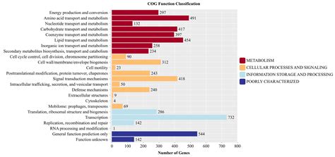 Genomic and Metabolomic Insights into the Antimicrobial Activities and ...