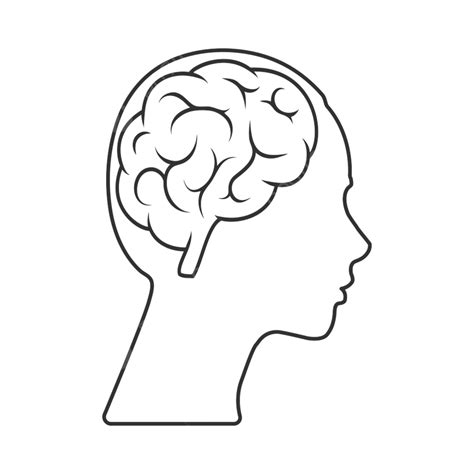 Head And Brain Outline
