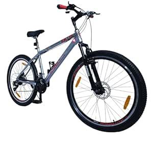 Buy AUTOWOK Flyer 85% Installed Dual Disc Brake Multi Speed Gear Double ...