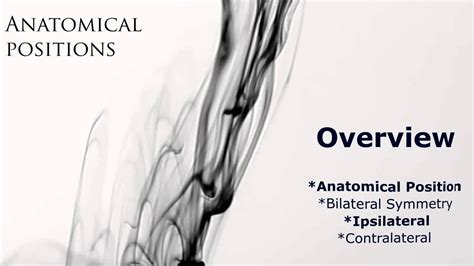 Image result for Contralateral Body Parts Example