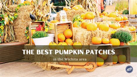 The Best Pumpkin Patches in the Wichita Area | Wichita By E.B.