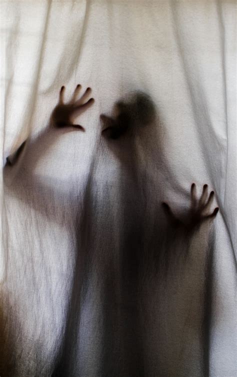 Image result for Transparent File