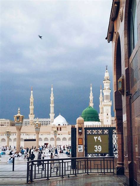 Image result for Prophet Muhammad Praise