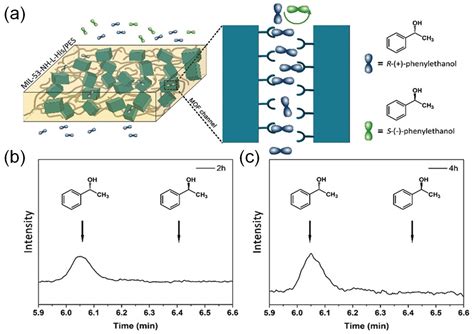 Engineering Metal-Organic-Framework (MOF)-Based Membranes for Gas and ...