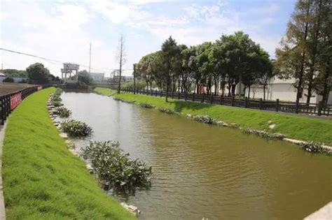 苏州河整治启动新三年计划 流经闵行河道将有大变化_新浪上海_新浪网
