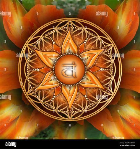 SACRAL CHAKRA (2. Chakra, Svadhisthana) on mystical Flower of Life ...