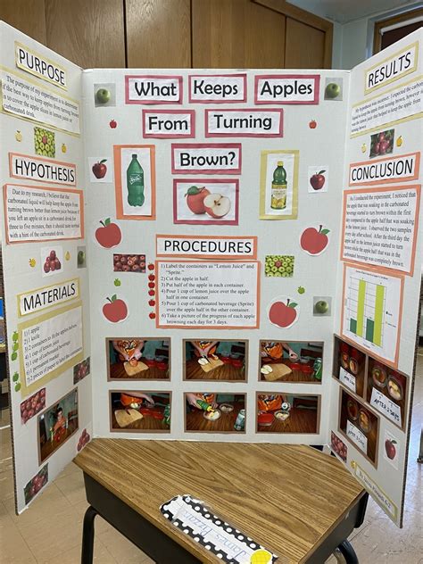 Science Fair Experiments 的图像结果