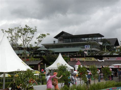 ELEPHANT VILLAGE (2025) All You Need to Know BEFORE You Go (with Photos ...