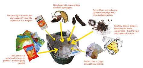 What is waste segregation | How to segregate waste properly