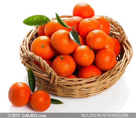 橘子熟了进口水果促销宣传海报图片下载 - 觅知网