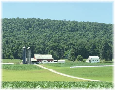 Daily Encouragement (Archive Edition)