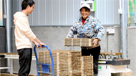 范仲淹是怎么写出《岳阳楼记》的？_邓州