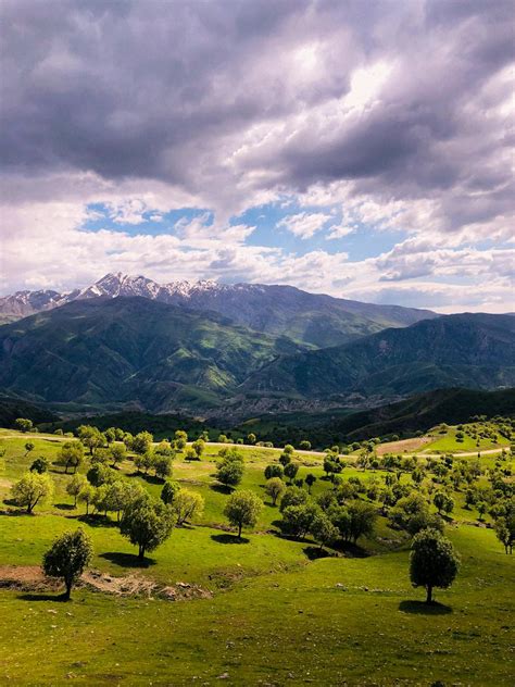 Countryside 的图像结果