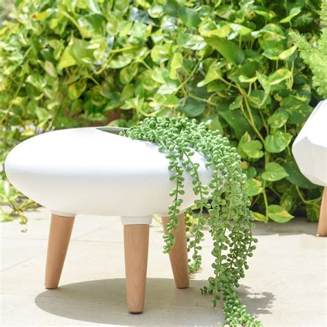 10 Indoor Plants & Planters | Nestasia