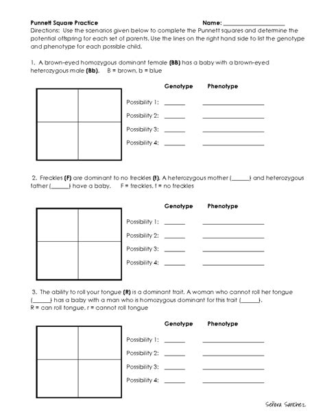 Punnett Square Practice Worksheet-1 - Punnett Square Practice Name ...