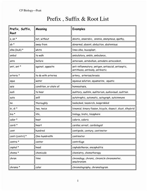 Medical Prefixes Terminology