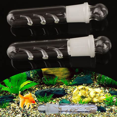 2 Pack Clear Glass Planaria Trap Catch Trap Aquarium India | Ubuy