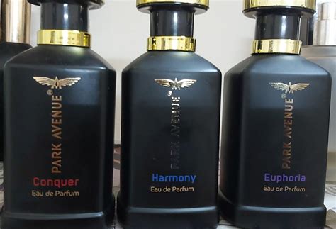 Buy Park Avenue Men Eau De Perfume Musk Scent Spray, Harmony, 100Ml ...