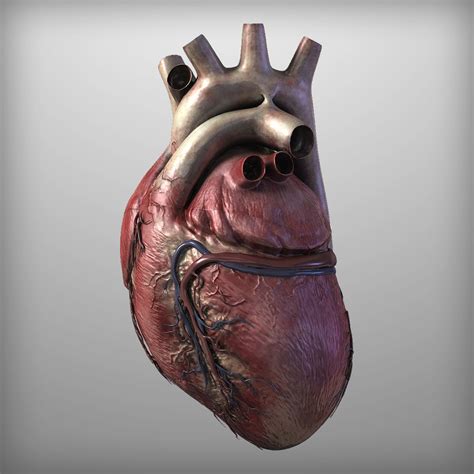 Image result for Boxing Simulator Script
