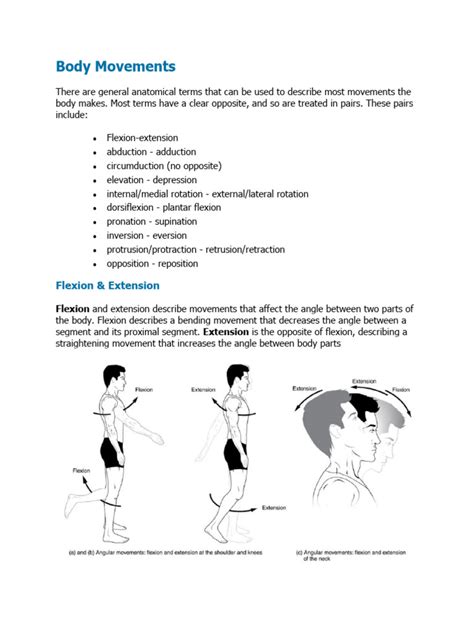 Image result for Flowchart of Body Movement