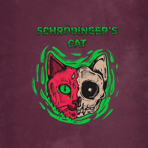 Schrödinger Equation Quantum Mechanics Theoretical Physics T-Shirt