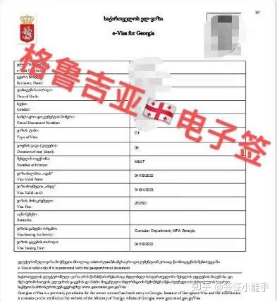 格鲁吉亚电子签证e-Visa申请指南 - 海外游攻略 - 海外游