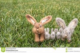 Image result for Felt Rabbits