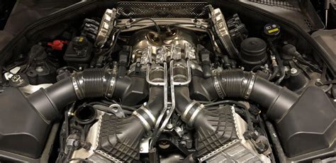 Image result for Python Problem Bureni Bulletin