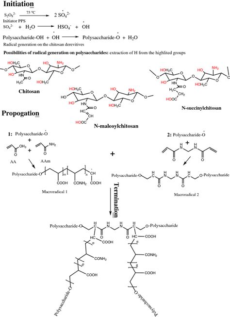 Image result for Process of Polymerization Flow Chart