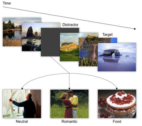 Transparency Exercise eBa 的图像结果