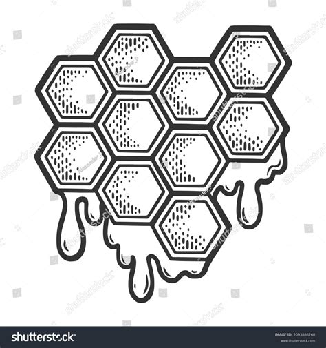 Honeycomb Drawing at Roderick Wilkerson blog