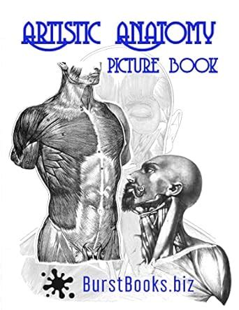 Artistic Anatomy Picture Book (The Ultimate Drawing Collection) eBook ...