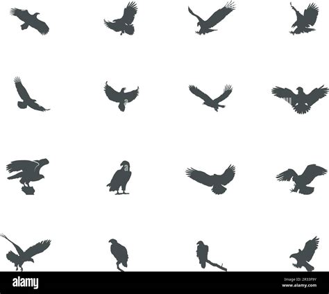 Eagle silhouette, Bald eagle silhouette, Flying eagle silhouette, Eagle vector illustration ...