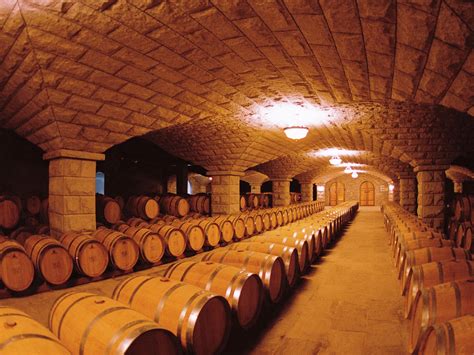 私人地下白酒酒窖的设计基本要求与图片－深圳[比士亚]酒柜酒窖空调工程设计定制定做厂家公司作品-比士亞