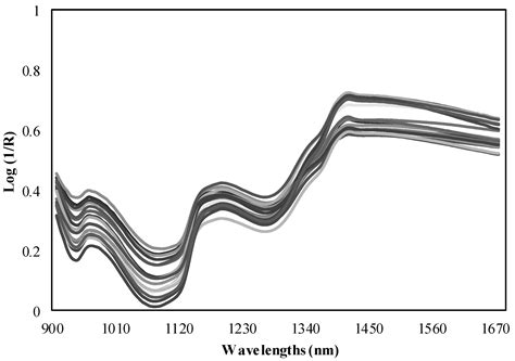 Rapid Estimation of Potato Quality Parameters by a Portable Near ...