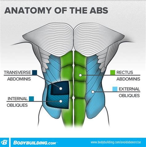 What is ABS?